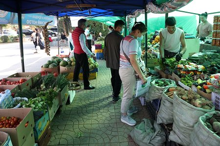 Хүнсний ногооны үзэсгэлэн худалдааг 25 байршилд зохион байгуулж байна