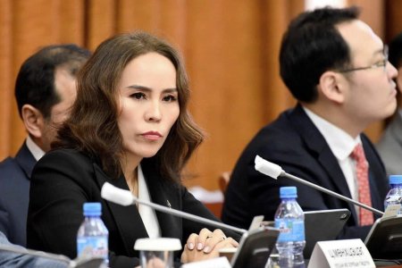 Ц.Мөнхцэцэг: “Бэрэн групп” зээлээ төлөөгүй байхад давуу байдал үүсгэн нэмэлт санхүүжилт олгосон байна