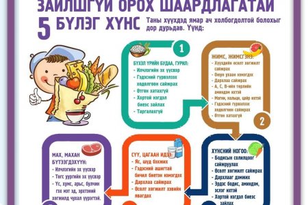 НЭМҮТ: Сурагчдын үдийн цайнд зайлшгүй орох шаардлагатай 5 бүлэг хүнсний ач холбогдлыг та мэдэх үү