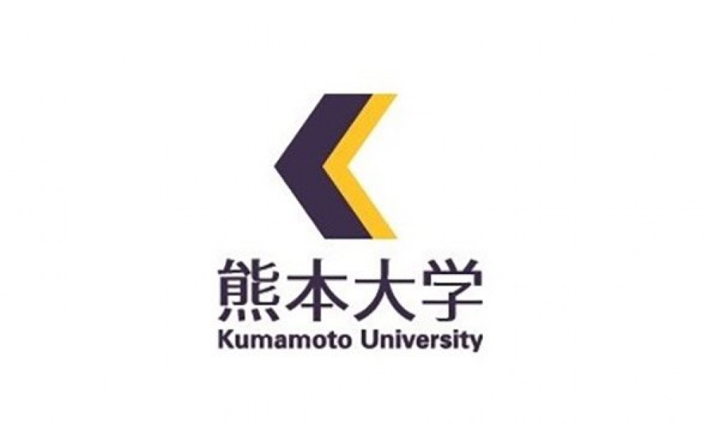 Күмамото их сургууль
