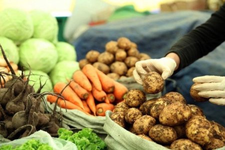 68,4 мянган тонн хүнсний ногоо хураажээ