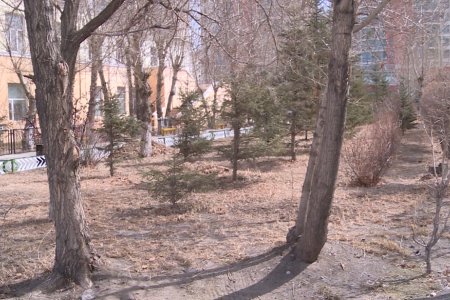 Ногоон байгууламжид жил бүр тодорхой төсөв зарцуулдаг ч шугам хоолойн засварын ажлаас шалтгаалж үр дүнгүй болж байна