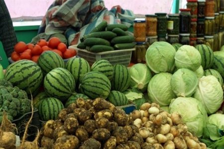 Буудай, төмсний хэрэгцээг дотоодоосоо бүрэн хангах боломжтой боллоо