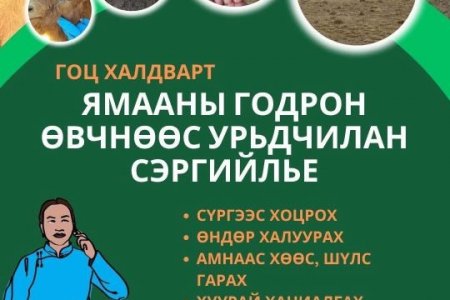 Мал, амьтны гоц халдварт, халдварт өвчнөөс хамтдаа урьдчилан сэргийльe‼️‼️