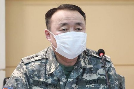 Г.Нэргүй: Нийслэлийн ногоон бүсийн 80 чиглэлд эргүүл ажиллаж байна