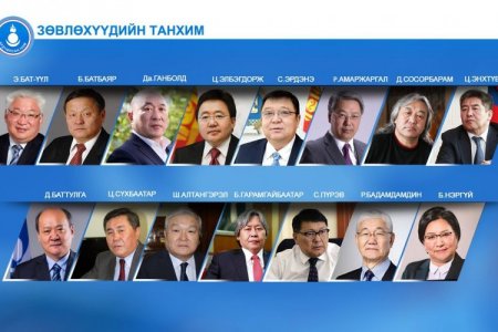 АН 15 гишүүнтэй