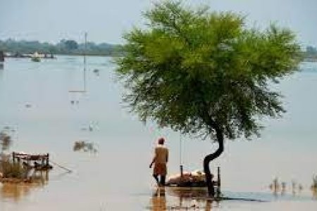 Пакистанд нүүрлэсэн үерийн аюулд 33 сая хүн нэрвэгдэж, 1314 хүн амиа алджээ