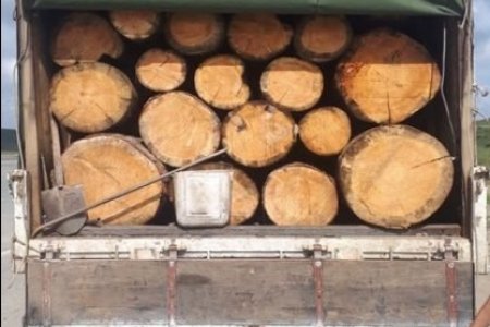 УЛААНБААТАР ХОТРУУ НОЙТОН МОД НЭВТРҮҮЛЭХ ҮЙЛДЛИЙГ ТАСЛАН ЗОГСООЛОО