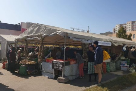 “НАМРЫН НОГООН ӨДРҮҮД” ҮЗЭСГЭЛЭН ХУДАЛДААНД ХЯНАЛТ ТАВИН АЖИЛЛАЖ БАЙНА