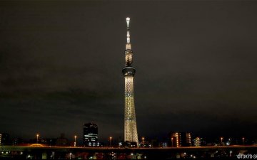 Олимпын бамбарын аялал эхэлсэнтэй зэрэгцэн вирусээр халдварласан шинэ тохиолдлуудын тоо ч өсжээ