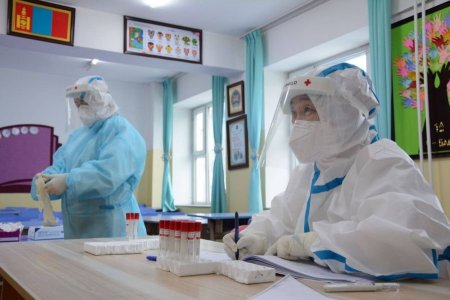 ЭМЯ: 2736 хүнээс халдвар илэрч, 11 хүн нас баржээ