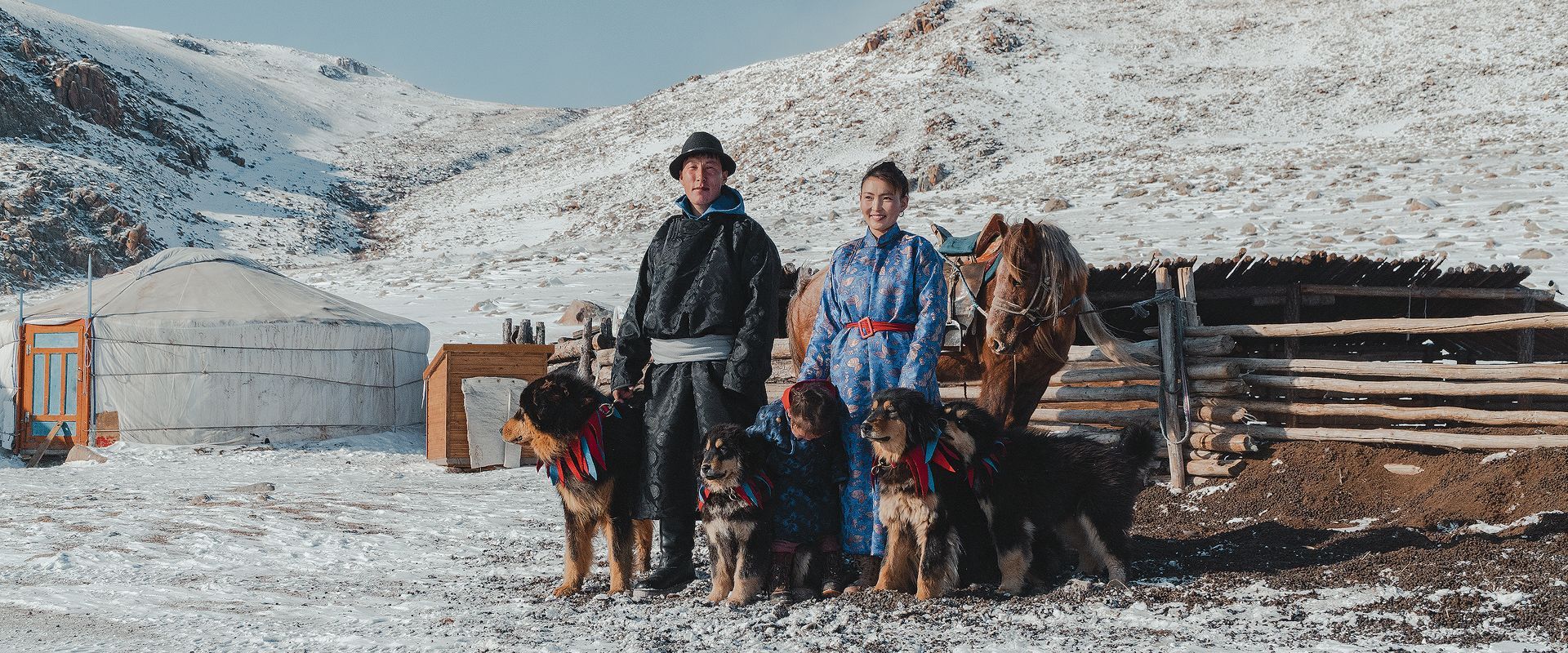 ARGADAI AND BERKHEDEI NATIVE MONGOLIAN DOG PROJECT
