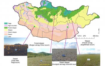 NATIONAL REPORT OF THE GRAZING IMPACT MONITORING OF MONGOLIA