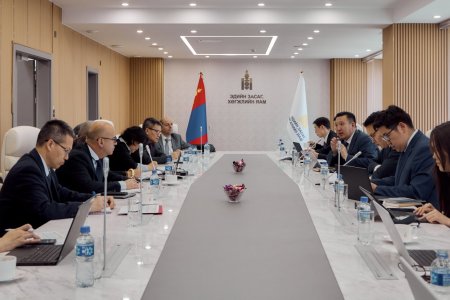 ЭДИЙН ЗАСАГ, ХӨГЖЛИЙН ЯАМНЫ ХОЛБОГДОХ ГАЗРЫН ДАРГА НАР ОУВС-ГИЙН ДҮРМИЙН IV ЗААЛТЫН ХҮРЭЭНИЙ АЖЛЫН ХЭСГИЙНХЭНТЭЙ УУЛЗЛАА