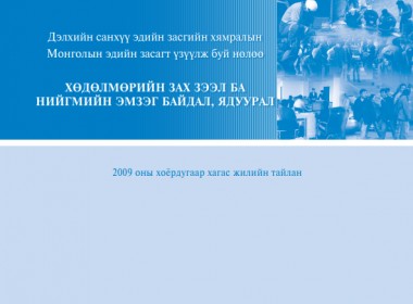 Хөдөлмөрийн зах зээл ба нийгмийн эмзэг байдал /2009 оны II хагас жилийн тайлан/ 