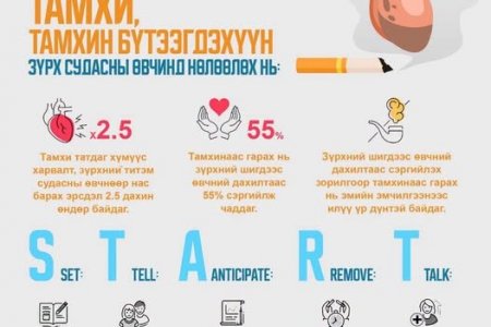 ТАМХИ, ТАМХИН БҮТЭЭГДЭХҮҮН ЗҮРХ СУДАСНЫ ӨВЧИНД НӨЛӨӨЛӨХ НЬ