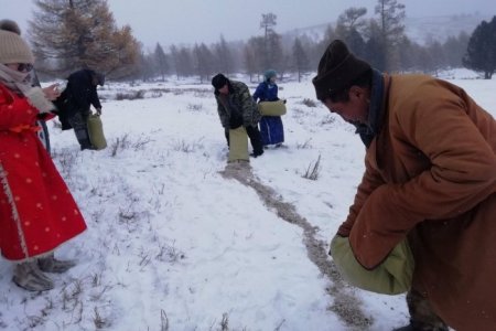 40 гаруй цэгт аргаль, халиун буганд өвс, хужир тавьж өгчээ