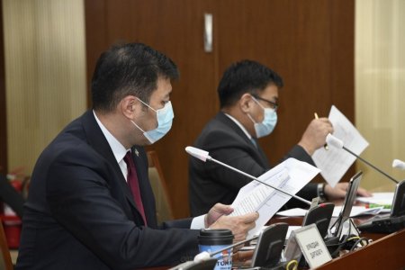 Гадаадад гацсан иргэдэд тусламж олгоход Засгийн газарт чиглэл өгөх тогтоолын төслийг баталлаа