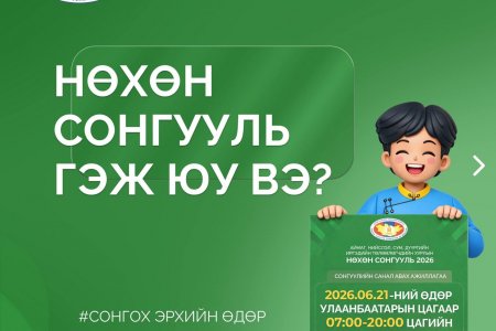 НӨХӨН СОНГУУЛЬ ЗОХИОН БАЙГУУЛАХ ХЭСГИЙН ХОРОО БАЙГУУЛАВ