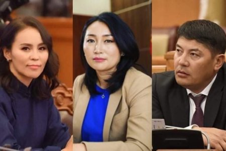 МАН-ын Удирдах зөвлөлд УИХ-ын гишүүн Ц.Мөнхцэцэг, Х.Булгантуяа, Т.Аубакир нар сонгогджээ
