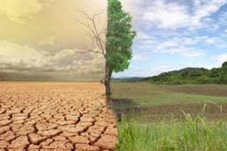 ОЙ БА УУР АМЬСГАЛЫН ӨӨРЧЛӨЛТИЙН АСУУДЛААР МОНГОЛ УЛС БУСДЫН ХАМТ УРАГШИЛЖ БАЙНА