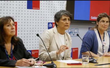 Чили улсад шувууны томуу хүнд халдварласан анхны тохиолдол бүртгэгджээ