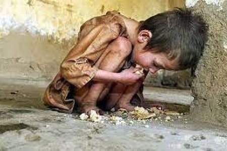 Дэлхий даяар хоол тэжээлийн дутагдлаар 8 сая гаруй хүүхэд амиа алдах эрсдэлтэй байна