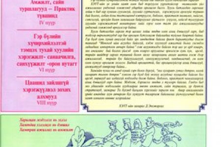 Гэр бүлийн хүчирхийлэлтэй тэмцэх цогц стратеги /Мэдээллийн хуудас /
