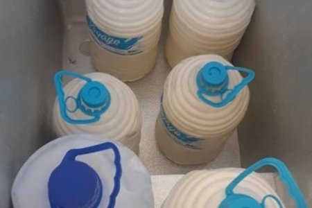 ЗАЙРМАГИЙН МУХЛАГ НЬ БЭЛДЭЦИЙГ ЗОРИУЛАЛТЫН БУС САВАНД ТЭЭВЭРЛЭЖ БАЙСАН ЗӨРЧЛИЙГ АРИЛГУУЛЛАА