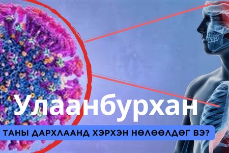 Улаанбурхан таны дархлааг устгадаг
