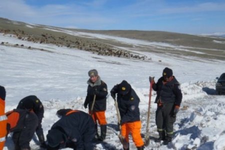 Он гарсаар 55 удаагийн ой, хээрийн түймэр гараад байна