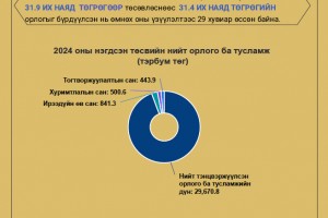2024 оны нэгдсэн төсвийн гүйцэтгэлийн аудитын тайлангаас