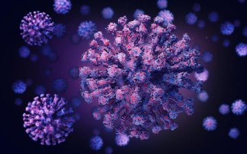 БНЭУ-д “Ковид-19”-ийн давхар мутацид орсон шинэ хувилбар илэрчээ