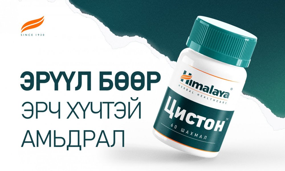 Ургамлаар бөөрөө эмчлэхүй