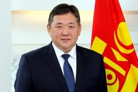 М.Энхболд: Хүүхдийн эрхийг зөрчин, эрүүл мэндэд нь хохирол учруулсанд нийт иргэдээсээ хүлцэл өчиж байна