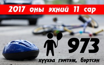 МАНАЙ УЛСАД НЭГ ЖИЛИЙН ХУГАЦААНД 1000 ГАРУЙ ХҮҮХЭД ЗАМ ТЭЭВРИЙН ОСОЛД ӨРТӨЖ БАЙНА