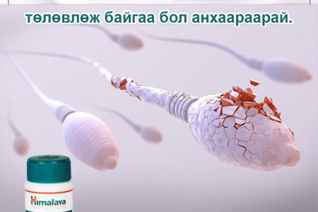 ЭРЭГТЭЙ ҮРГҮЙДЭЛ ГЭЖ ЮУ ВЭ?