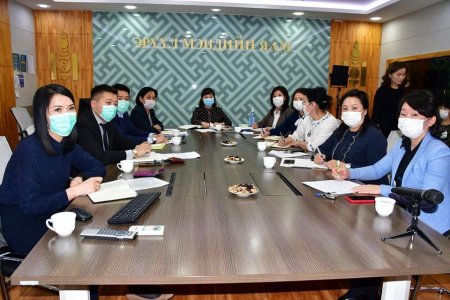 ДЭМБ-ын Зөвлөх баг манай улсад ажиллаж байна