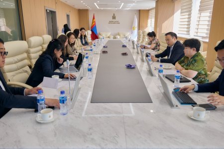 “Аймаг, сумын бүсчилсэн ногоон хөгжлийн хөрөнгө оруулалтын хөтөлбөр”-ийн хэрэгжилт эрчимжиж байна