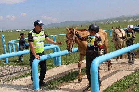 Монгол Улсад Авто замын салбар үүсч хөгжсөний 90 жилийн ойд зориулсан наадам боллоо