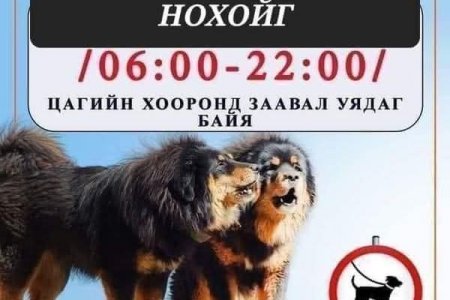 СУМЫН ЗОЛБИН НОХОЙН УСТГАЛ ХИЙГДЛЭЭ