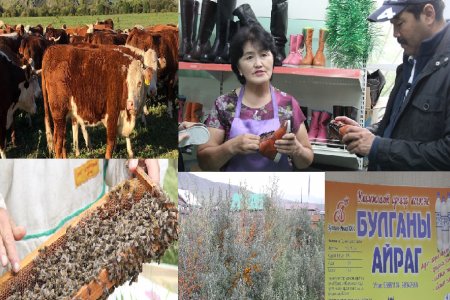 Шинэ Хөдөө буюу Монгол хүн Монголын баялаг