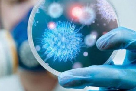 Коронавирусний халдвараас сэргийлэх аргууд