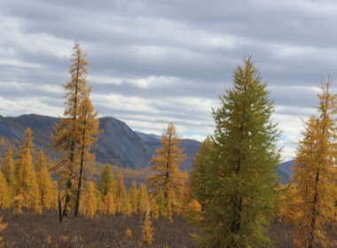 Nomad homestay Reindeer herders