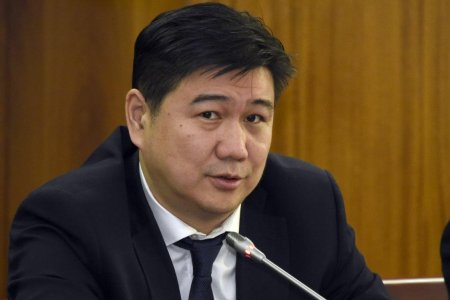 Ц.Цолмон: “Орон орны парламентчид нэгдэгтүн” гэдэг зарчим хууль тогтоогчдын шинэ тэмүүлэл болж байна
