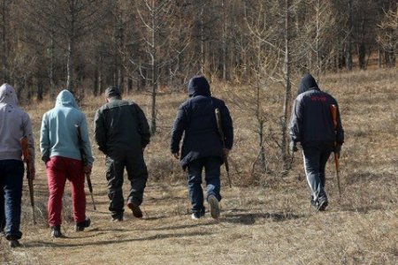 Золбин нохой устгах гэж байгаад сум алдаж, хүн гэмтээжээ