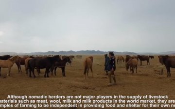  NOMADIC LIVESTOCK HUSBANDRY IN MONGOLIA