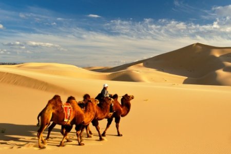 Mongolian  Top  Places to Visit