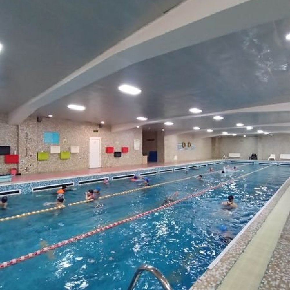 Бассейны сургалтын мэдээ