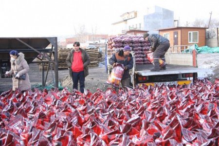 Сайжруулсан шахмал түлш хадгалах гурван агуулахыг нийслэлийн өмчид бүртгэв